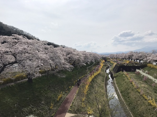 川を眺める