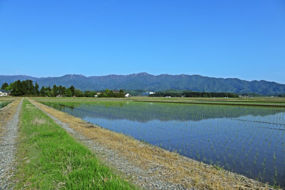 土地探しについて