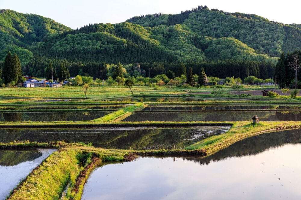 【 相談会 】これからはじめる、夏の土地探し｜土地相談会開催中