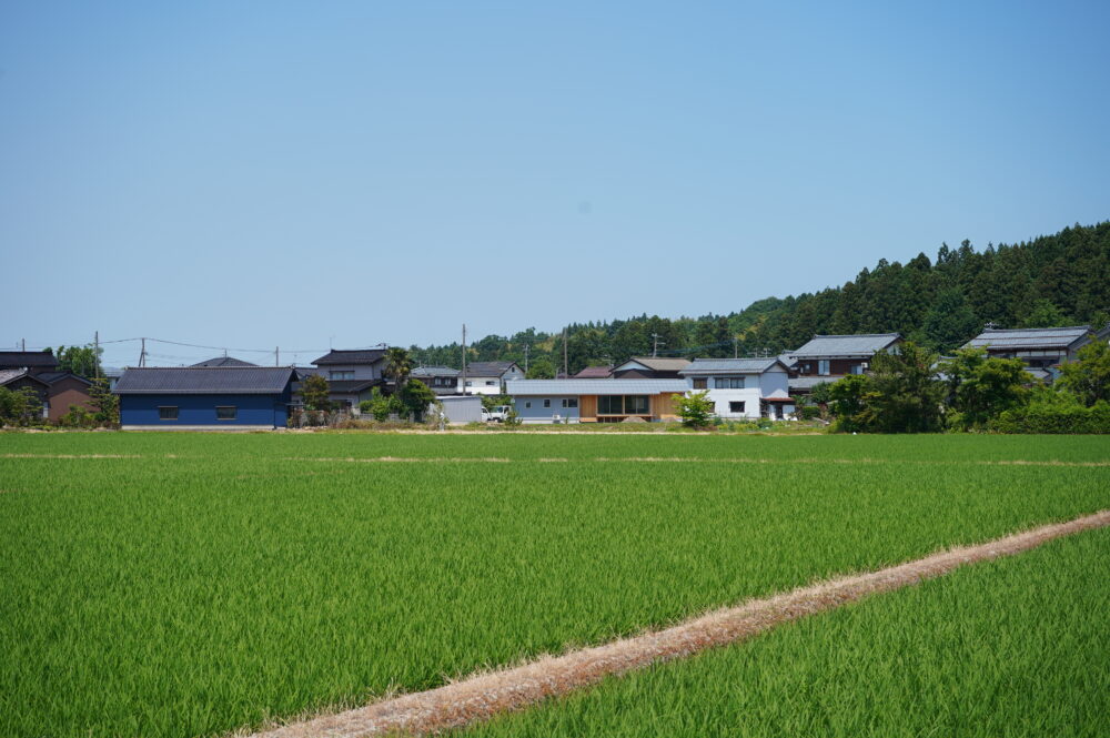 繋