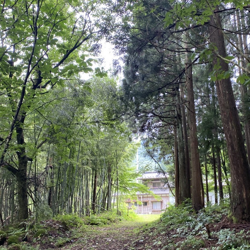 はじめまして！小池です！