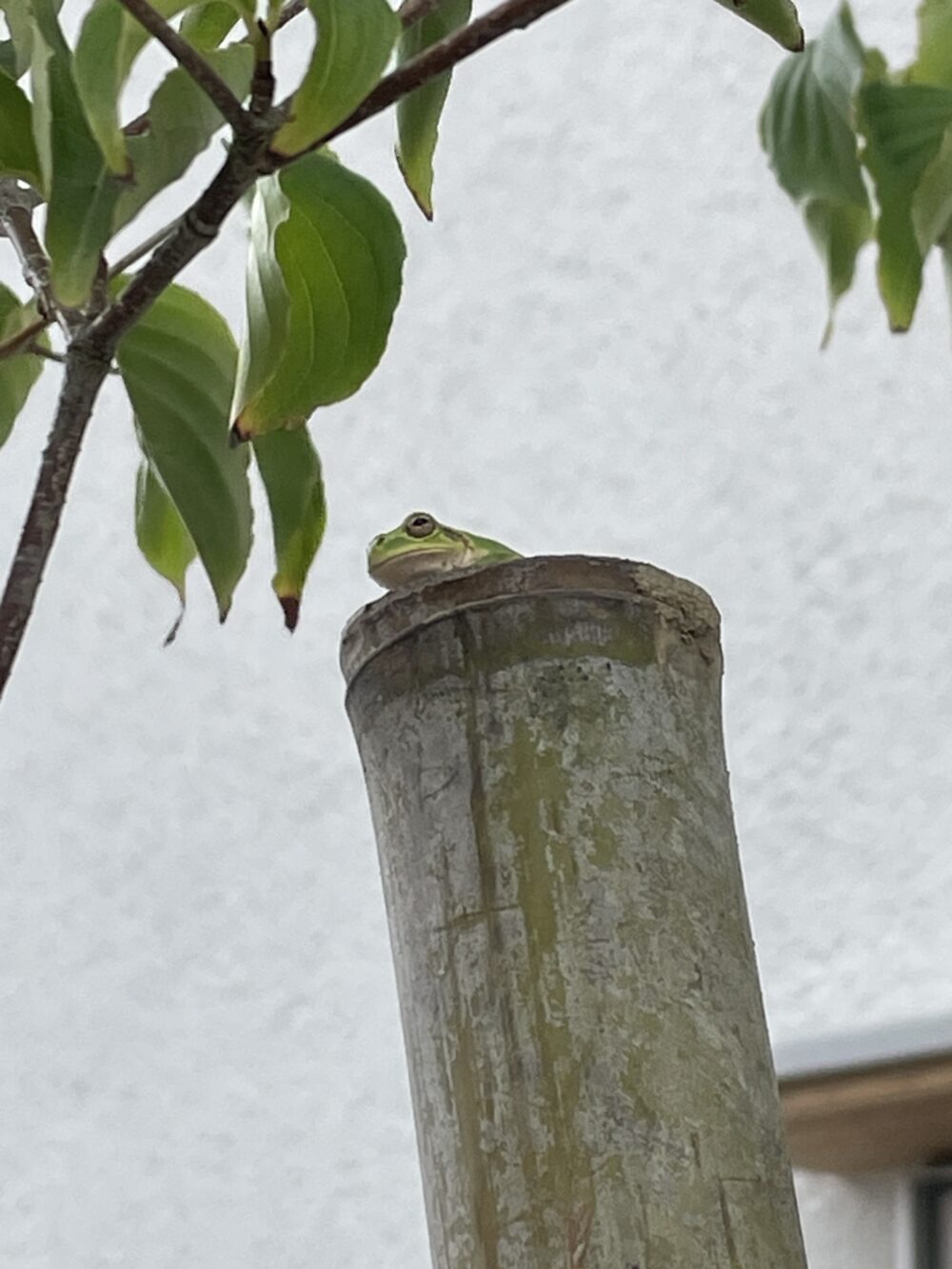 自宅を建てました　⑨予算が足りないそんな時は…