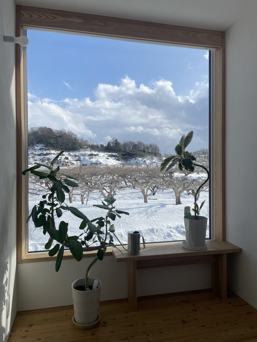 自宅を建てました　⑫窓と暮らし