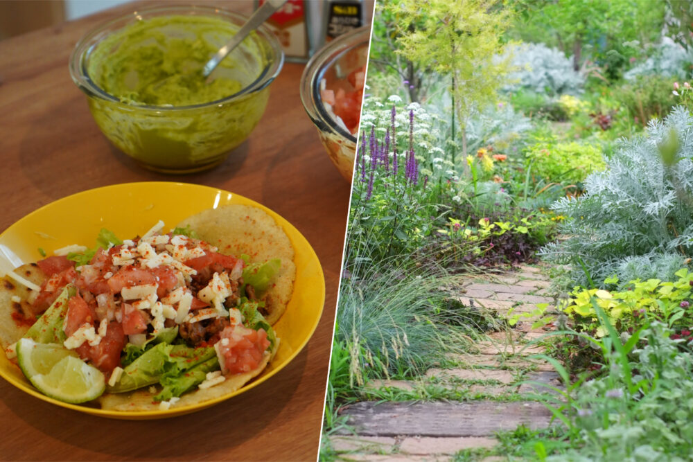 春のオーナーズイベント、予約受付中です。