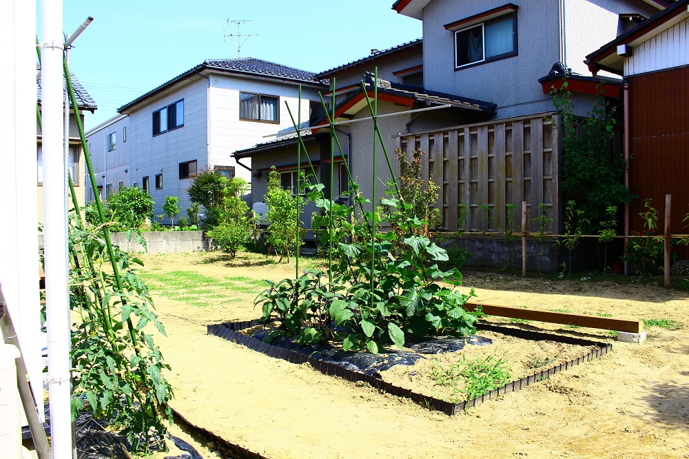 ふと気付くと畑を作っていた